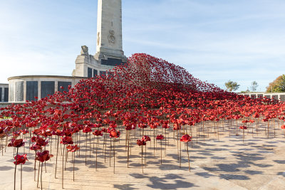 Plymouth Naval Memorial - Poppy display Plymouth Hoe 2017