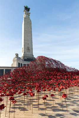 Plymouth Naval Memorial - Poppy display Plymouth Hoe 2017