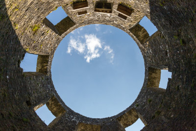 Dinefwr Castle (Cadw) - Carmarthenshire, Wales