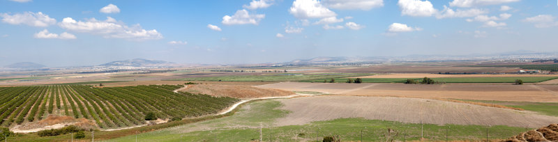 Israel-19.jpg
