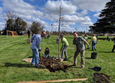 Rancho Cordova Arbor Day Tree Planting 3 10 19