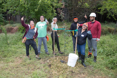 Cordova Meadows Tree Planting