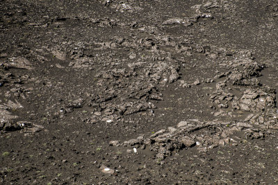 Stampar Crater