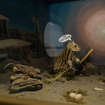 Gopher Hole Museum