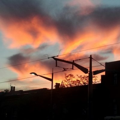IMG_20170730_212445_201.jpg