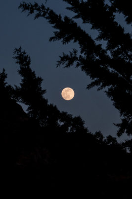 Full Moon