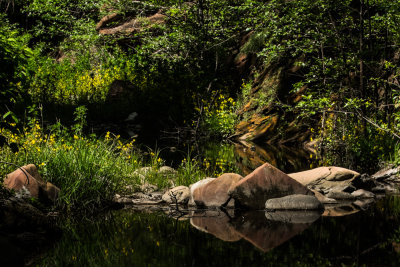 West Fork Hike