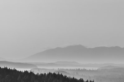 g12/00/779300/3/171332207.KBQZiOIu.jpg
