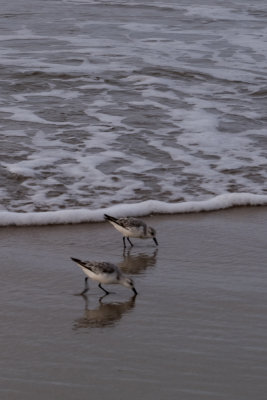 Huntington Beach