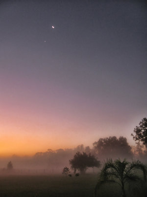 Moon and star, early morn