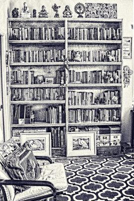 my library