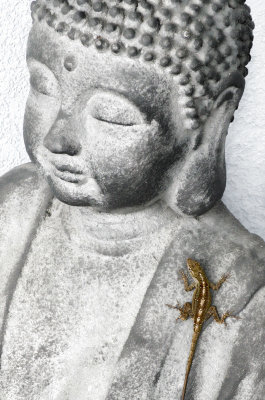 Buddha and friend