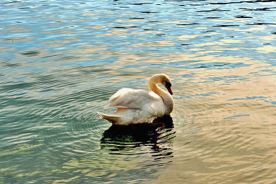 12_Lake Bled.jpg