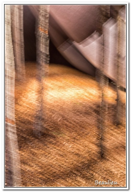 Imaginaire