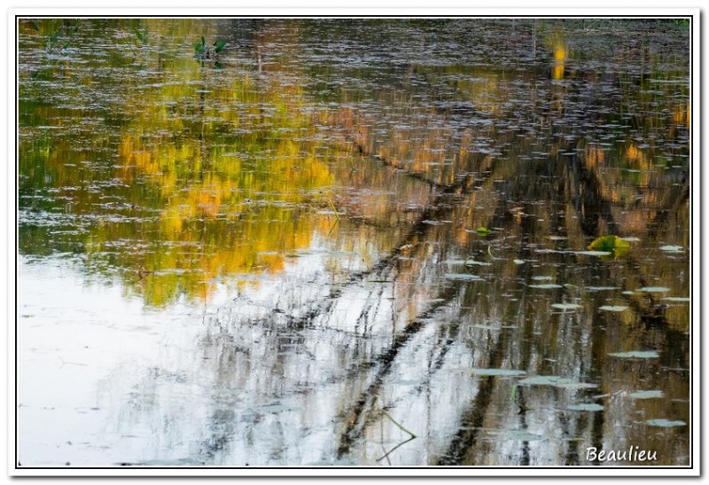 Contraste