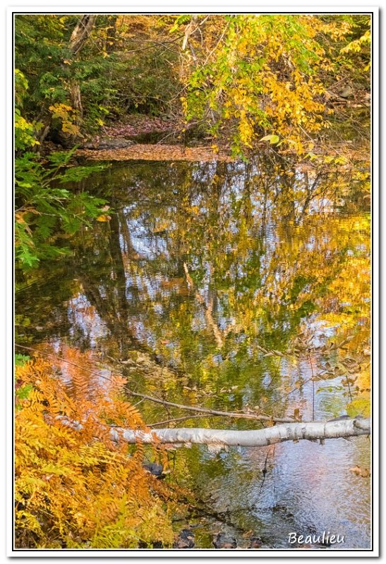 Automne
