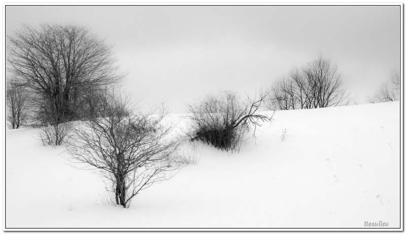 Hiver éphémère