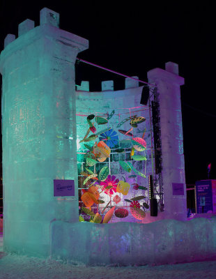 DSC05423.jpeg