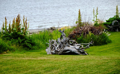 DSCF5758.jpg