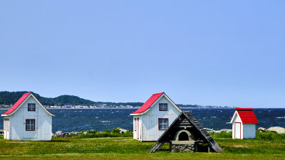 DSCF5805.jpg