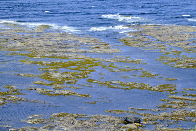DSCF5818.jpg