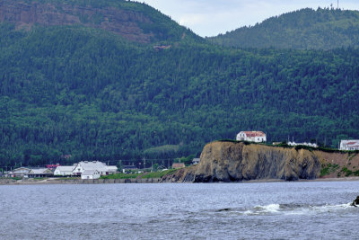 DSCF5919.jpg
