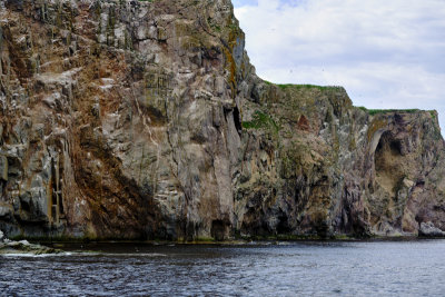DSCF5921.jpg