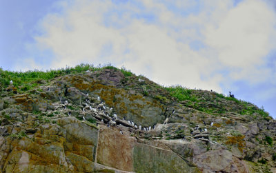 DSCF5926.jpg