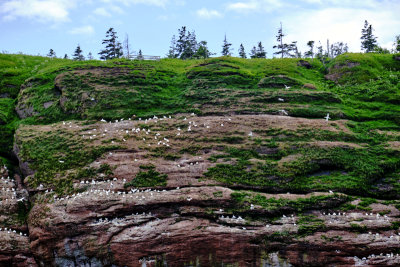 DSCF5977.jpg