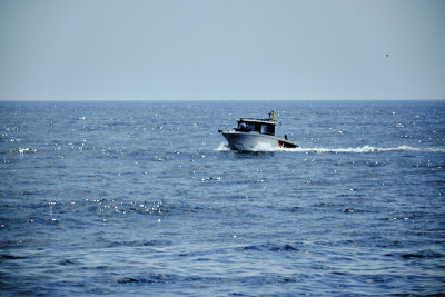 DSCF6026.jpg