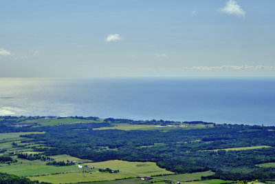 DSCF6155.jpg
