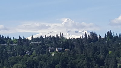 Mt. Hood Viewed from Columbia River     