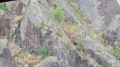  Petroglyphs Along Snake River ( from within boat during rain)