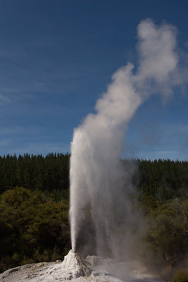 Lady Knox Geyser
