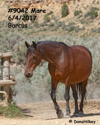 9042 Mare