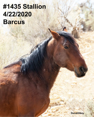 1435