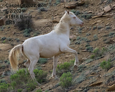 2022 Casper
