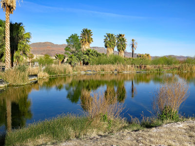 Shoshone pond reflections