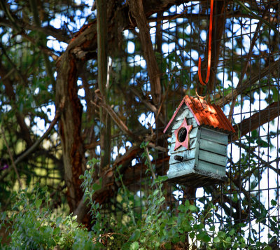 Patio birdhouse