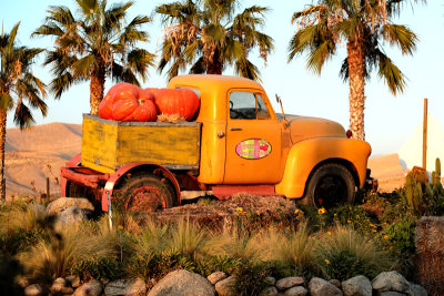 Pumpkin pick up truck