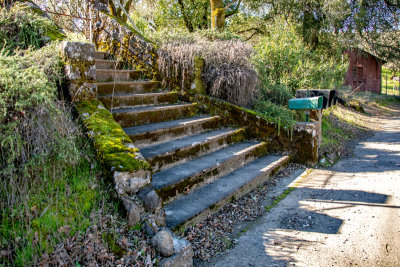 Old Mossy Steps