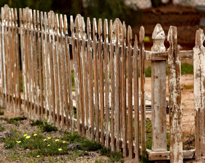 Weathered Picket Fence