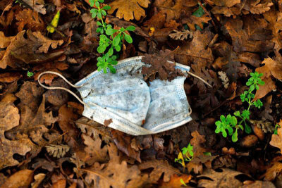 mask in leaves