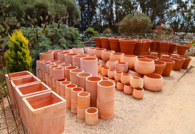 Cottage Garden Terra Cotta Pots