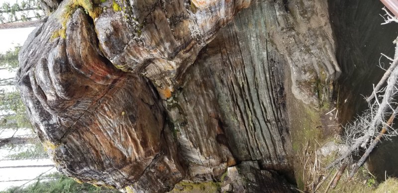 Athabasca Falls layers.jpg