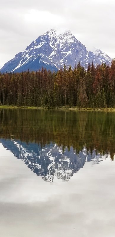 Mt reflection.jpg