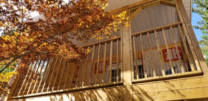 Shirleen's catio