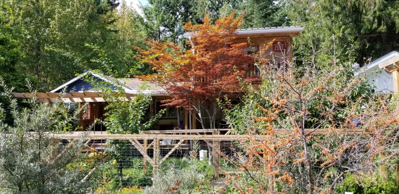 Shirleen's place