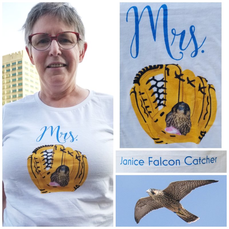 Peregrines JH shirt Collage.jpg