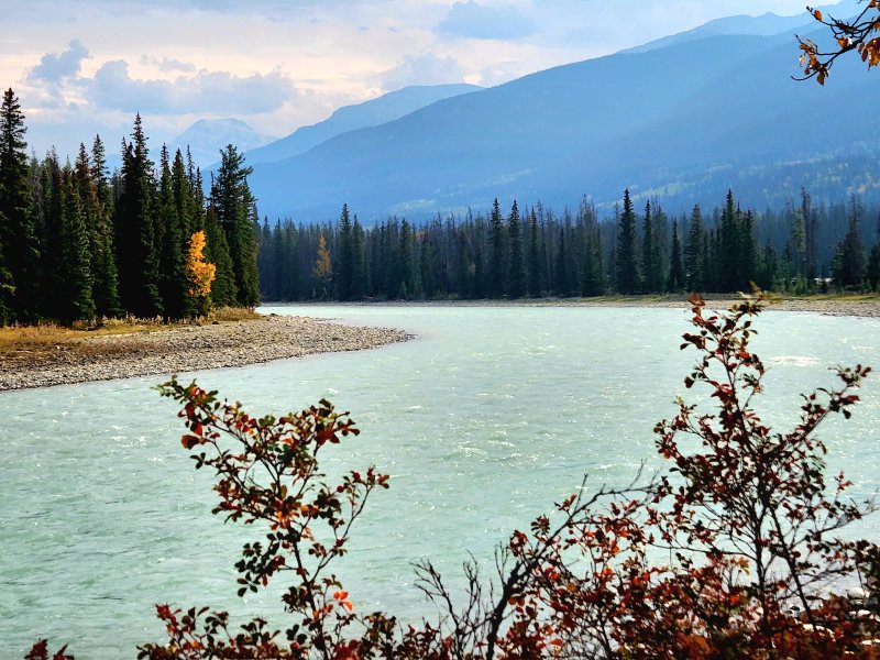 Jasper Athabasca River